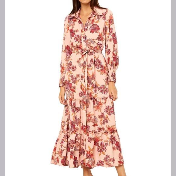 MISA Los Angeles Esmee Maxi Dress in Paisley - Picture 2 of 11